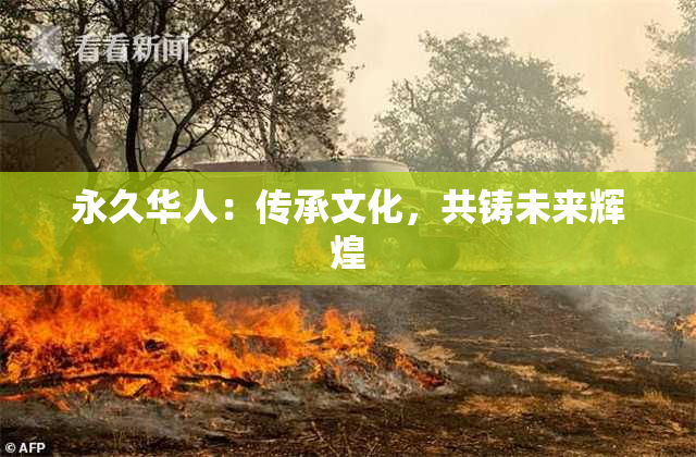 永久华人：传承文化，共铸未来辉煌