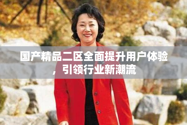 国产精品二区全面提升用户体验，引领行业新潮流