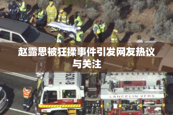 赵露思被狂揉事件引发网友热议与关注