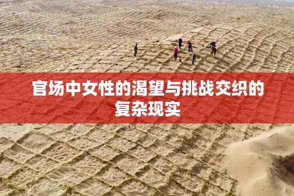官场中女性的渴望与挑战交织的复杂现实