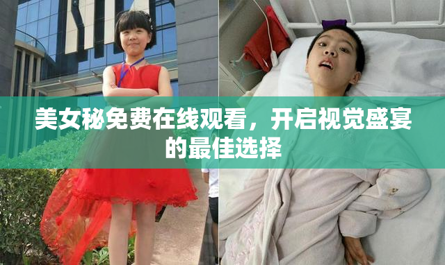 美女秘免费在线观看，开启视觉盛宴的最佳选择