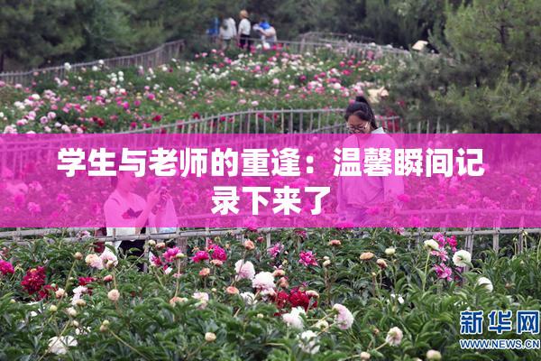 学生与老师的重逢：温馨瞬间记录下来了