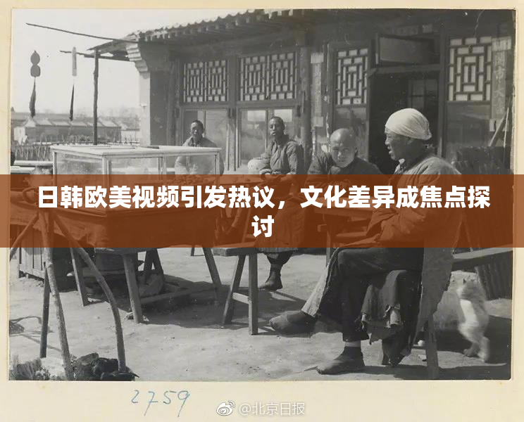 日韩欧美视频引发热议，文化差异成焦点探讨