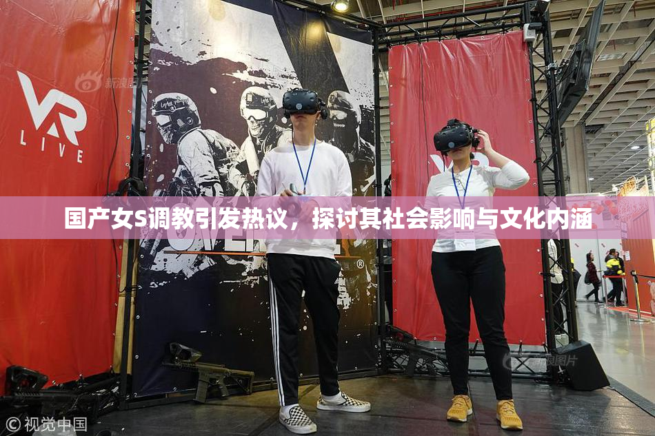 国产女S调教引发热议，探讨其社会影响与文化内涵