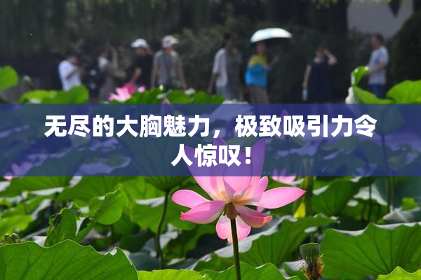 无尽的大胸魅力，极致吸引力令人惊叹！