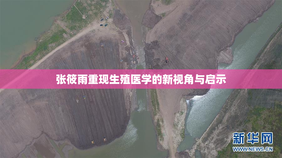 张筱雨重现生殖医学的新视角与启示