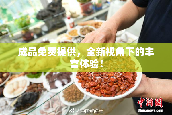 成品免费提供，全新视角下的丰富体验！
