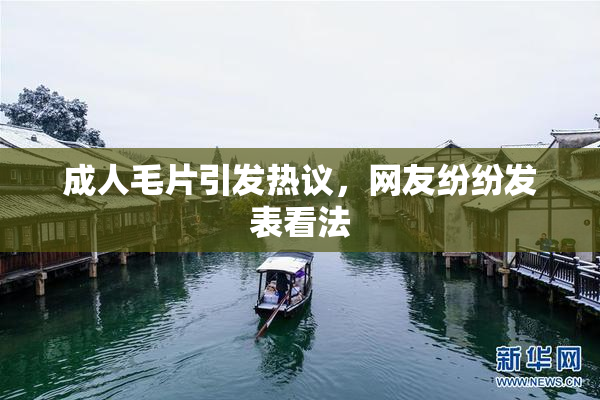 成人毛片引发热议，网友纷纷发表看法