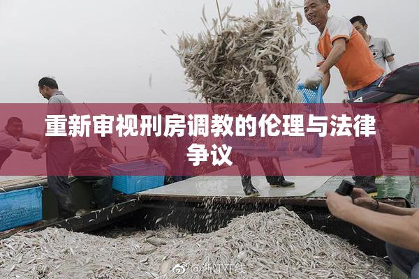 重新审视刑房调教的伦理与法律争议