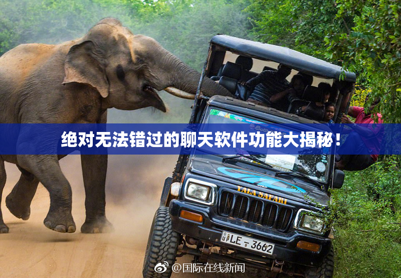 绝对无法错过的聊天软件功能大揭秘！
