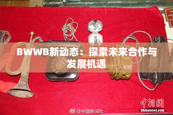 BWWB新动态：探索未来合作与发展机遇