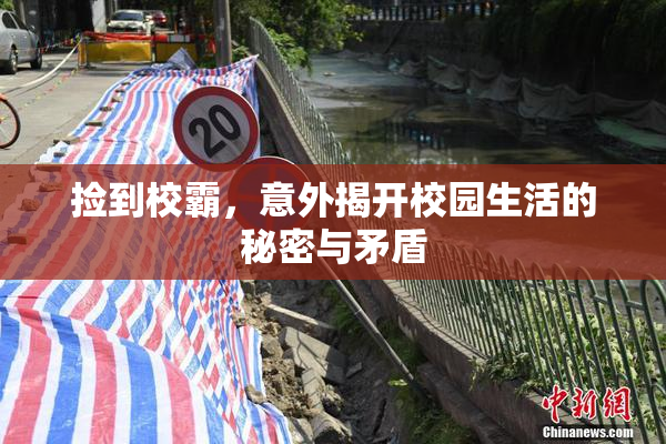 捡到校霸，意外揭开校园生活的秘密与矛盾