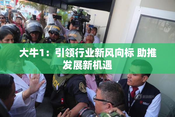大牛1：引领行业新风向标 助推发展新机遇
