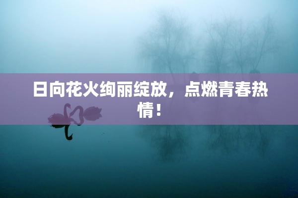 日向花火绚丽绽放，点燃青春热情！