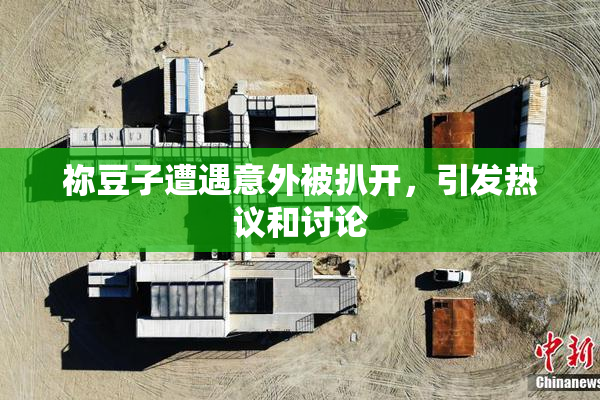 祢豆子遭遇意外被扒开，引发热议和讨论