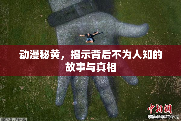动漫秘黄，揭示背后不为人知的故事与真相