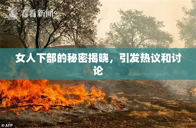 女人下部的秘密揭晓，引发热议和讨论