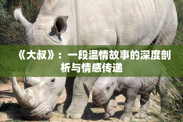 《大叔》：一段温情故事的深度剖析与情感传递