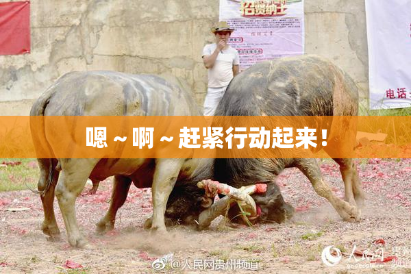 嗯～啊～赶紧行动起来！