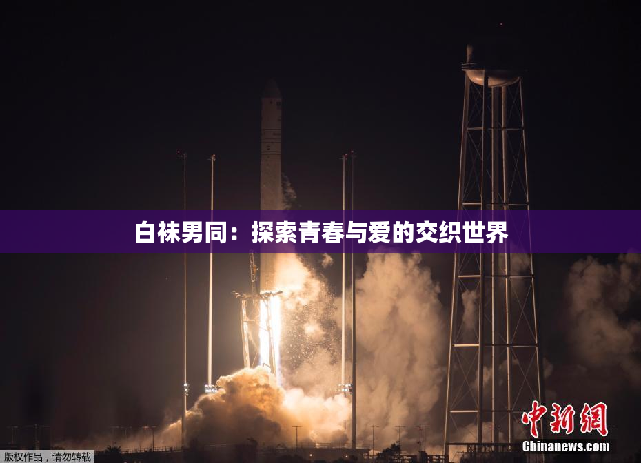 白袜男同：探索青春与爱的交织世界