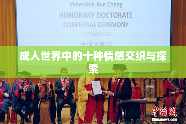 成人世界中的十种情感交织与探索