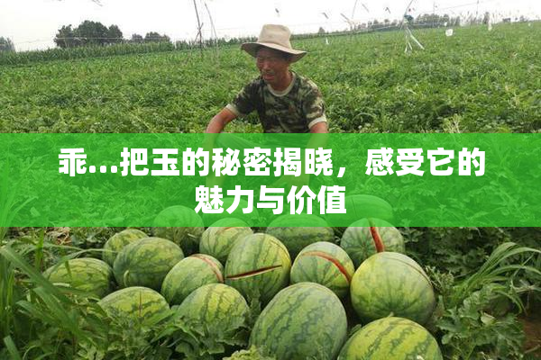 乖…把玉的秘密揭晓，感受它的魅力与价值