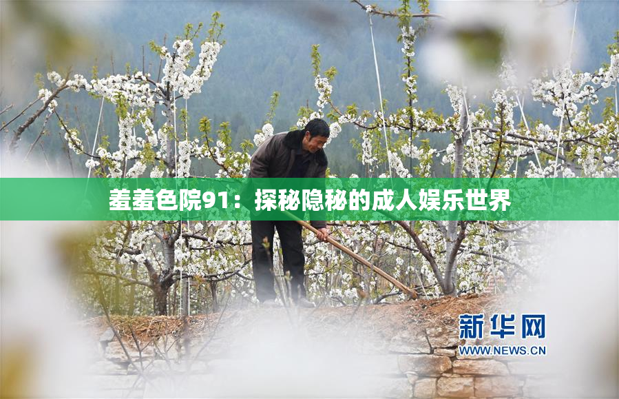 羞羞色院91：探秘隐秘的成人娱乐世界
