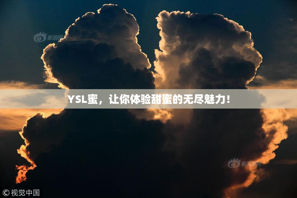 YSL蜜，让你体验甜蜜的无尽魅力！