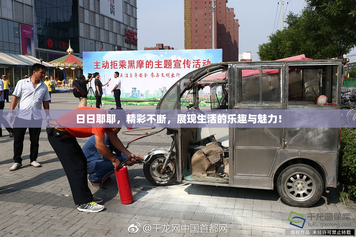 日日耶耶，精彩不断，展现生活的乐趣与魅力！