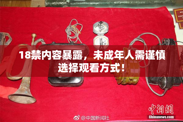 18禁内容暴露，未成年人需谨慎选择观看方式！