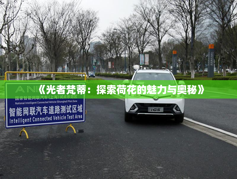 《光者梵蒂：探索荷花的魅力与奥秘》