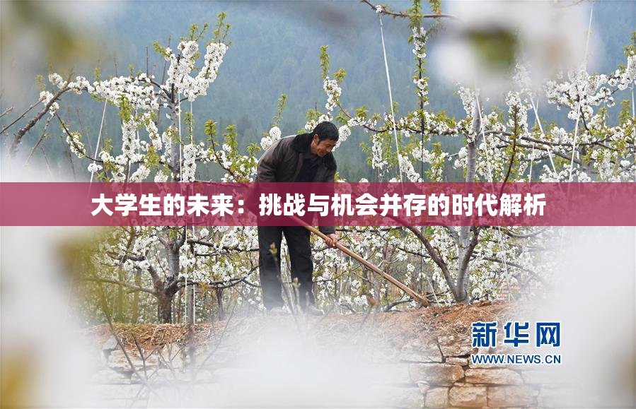 大学生的未来：挑战与机会并存的时代解析