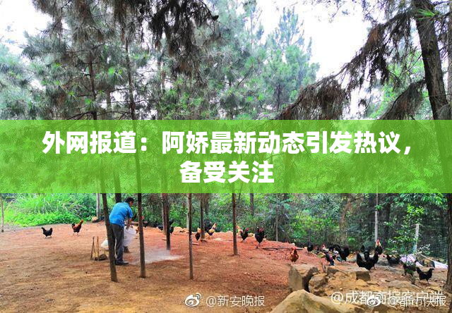 外网报道：阿娇最新动态引发热议，备受关注