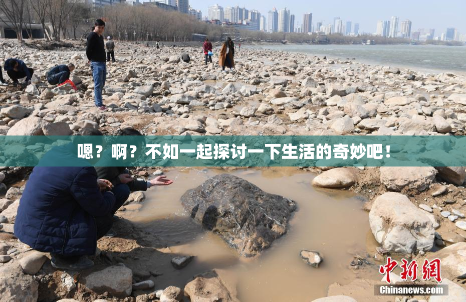嗯？啊？不如一起探讨一下生活的奇妙吧！