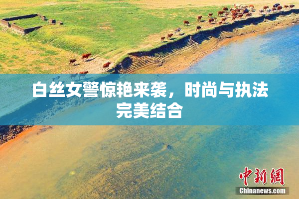 白丝女警惊艳来袭，时尚与执法完美结合