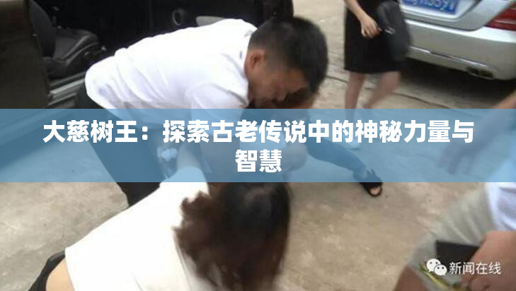 大慈树王：探索古老传说中的神秘力量与智慧