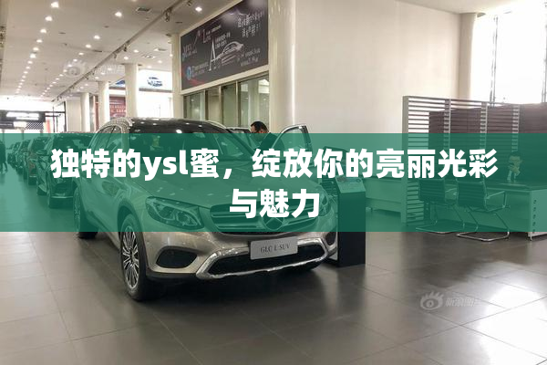 独特的ysl蜜，绽放你的亮丽光彩与魅力