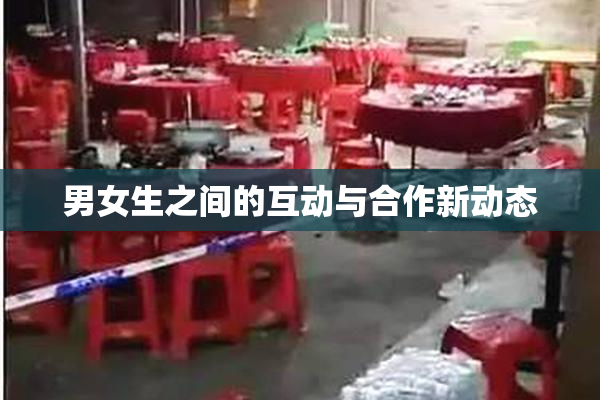 男女生之间的互动与合作新动态