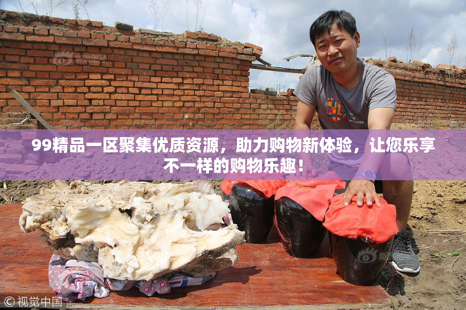 99精品一区聚集优质资源，助力购物新体验，让您乐享不一样的购物乐趣！