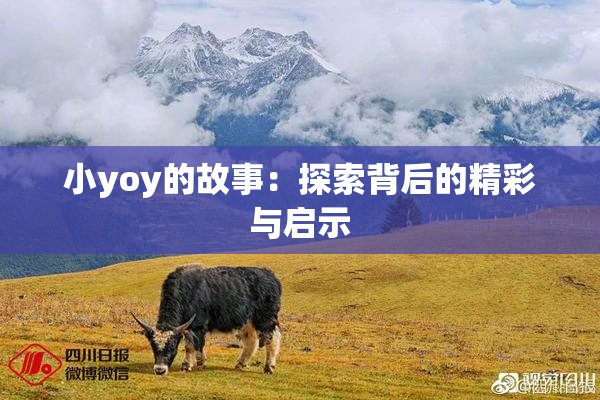 小yoy的故事：探索背后的精彩与启示