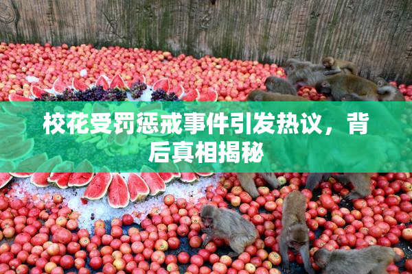 校花受罚惩戒事件引发热议，背后真相揭秘