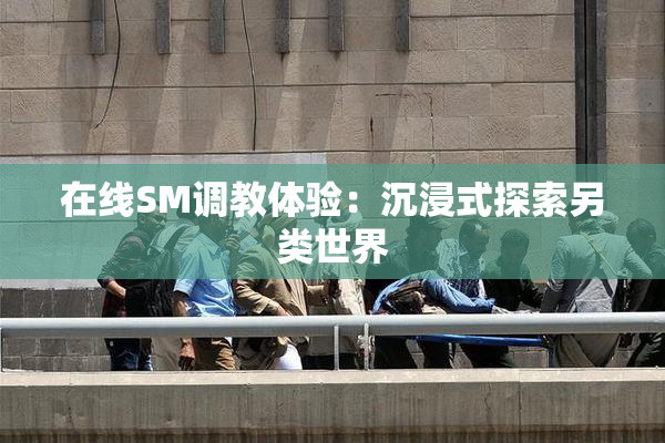在线SM调教体验：沉浸式探索另类世界