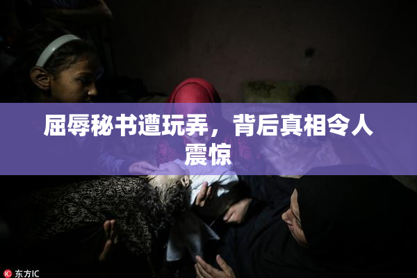 屈辱秘书遭玩弄，背后真相令人震惊