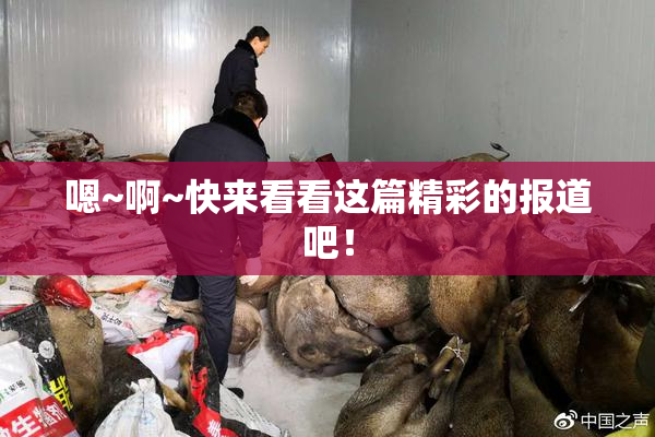 嗯~啊~快来看看这篇精彩的报道吧！