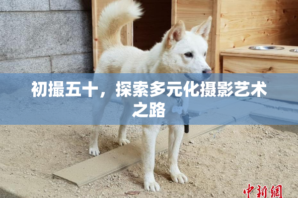 初撮五十，探索多元化摄影艺术之路