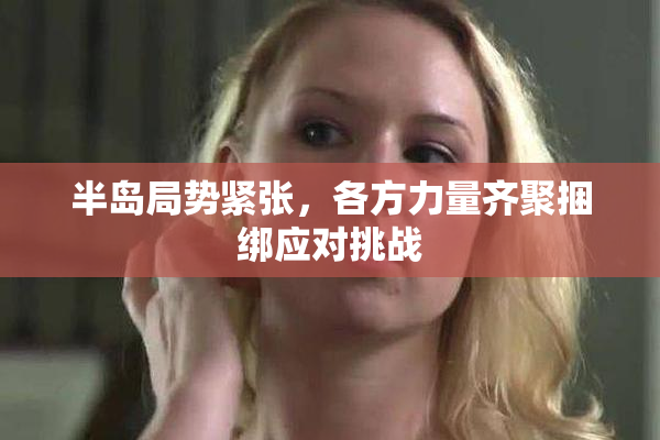 半岛局势紧张，各方力量齐聚捆绑应对挑战