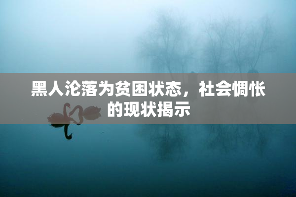 黑人沦落为贫困状态，社会惆怅的现状揭示