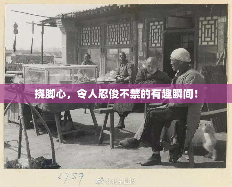 挠脚心，令人忍俊不禁的有趣瞬间！