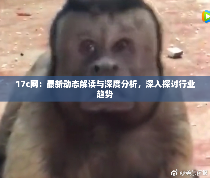17c网：最新动态解读与深度分析，深入探讨行业趋势