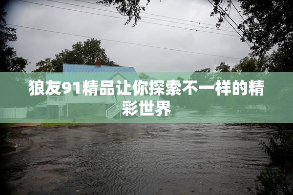 狼友91精品让你探索不一样的精彩世界